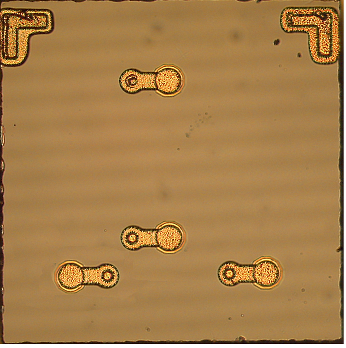 Tunnel Diode (Die)